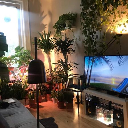 Urban Jungle Oasis In Queens! Apartamento Nova Iorque Exterior foto