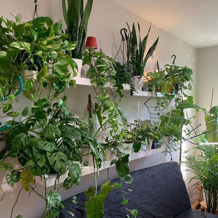 Urban Jungle Oasis In Queens! Apartamento Nova Iorque Exterior foto