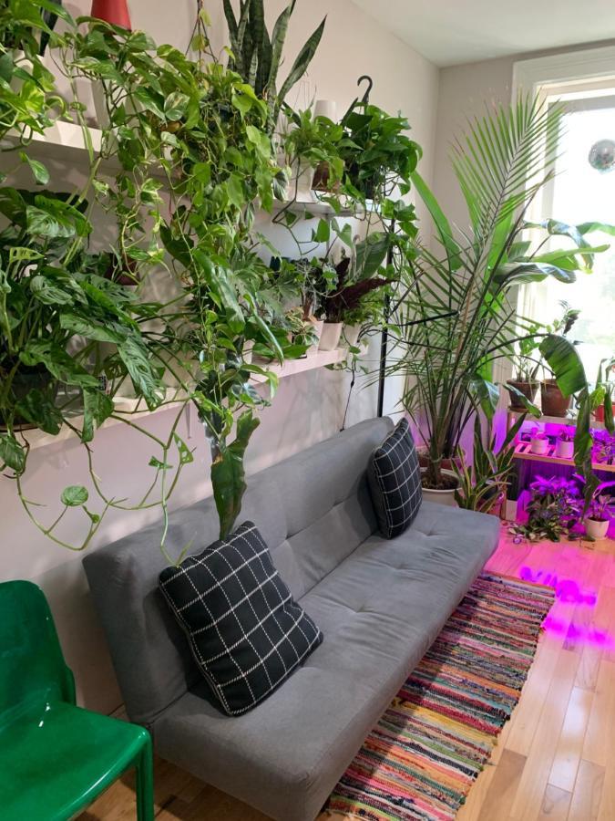 Urban Jungle Oasis In Queens! Apartamento Nova Iorque Exterior foto