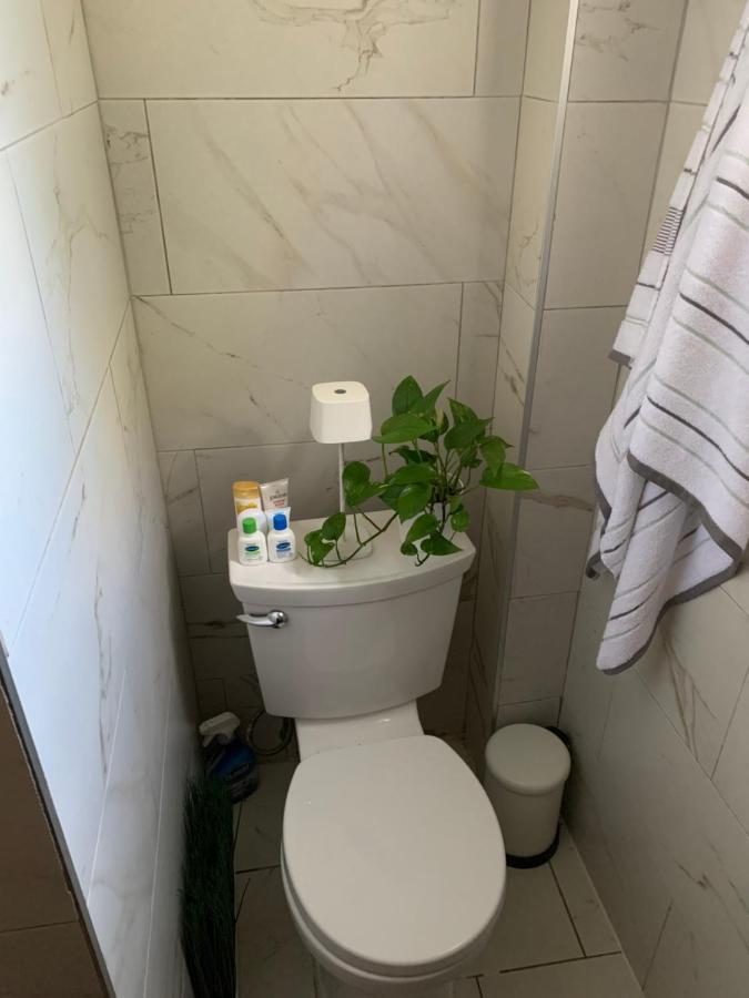 Urban Jungle Oasis In Queens! Apartamento Nova Iorque Exterior foto