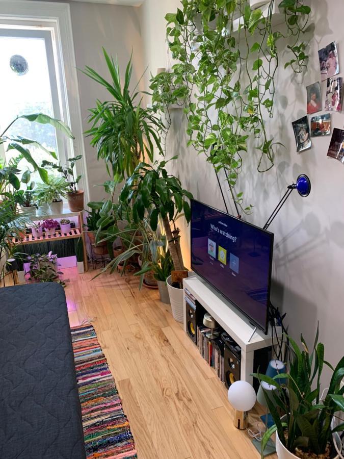 Urban Jungle Oasis In Queens! Apartamento Nova Iorque Exterior foto